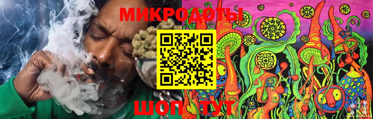 Баксан  Галлюциногенные грибы Psilocybine cubensis  Вход с VPN 